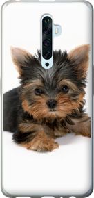 Чехол на Oppo Reno 2Z Щенок йоркширского терьера "931u-1867-17620"