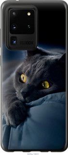 Чехол на Samsung Galaxy S20 Ultra Дымчатый кот из пластика FCh_032783