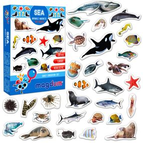 Детский набор магнитов Морские обитатели фото ML4031-28 EN