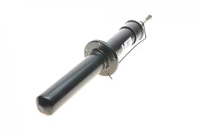 Амортизатор передній BMW X5 E70  X6 E71 E72 07-14 B3410103