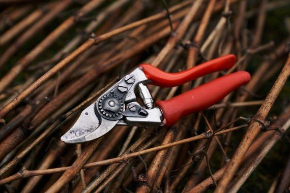 Секатор садовий FELCO 15 | Зображення 1