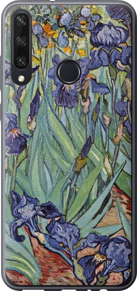 Чехол на Huawei Y6p Винсент Ван Гог. Ирисы "161u-1952-17620"