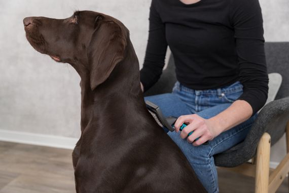 Щітка-пуходерка із пластиковою ручкою Trixie, 12 см | Зображення 1