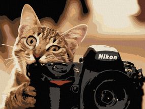 Картина по номерам   Art Craft "Пушистый фотограф" 40х50 см 11608-AC
