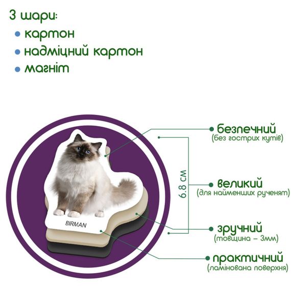 Набор магнитов Magdum "Породы кошек" ML4031-13 EN | Зображення 2