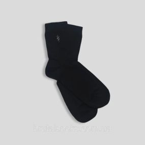 Шкарпетки чоловічі класичні демісезонні Тм TwinSocks Чорний, 31 / XXL / 45-46