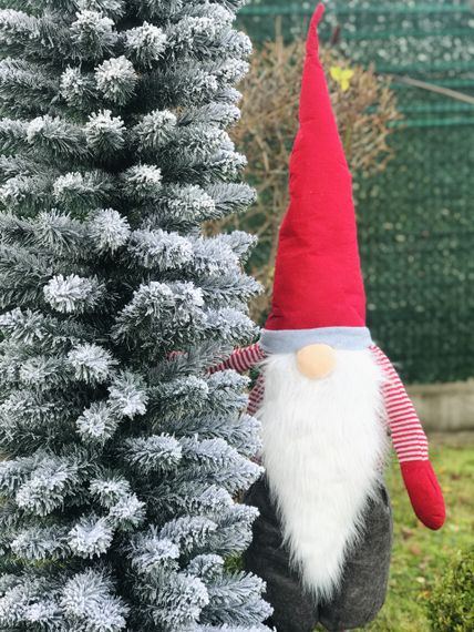 Ялинка Альпійська вузька 220 см засніжена | Зображення 1