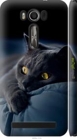 Чохол на Asus ZenFone 2 Laser ZE500KL Димчастий кіт "825m-113-2448"