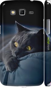 Чохол на Samsung Galaxy Grand 2 G7102 Димчастий кіт "825m-41-2448"