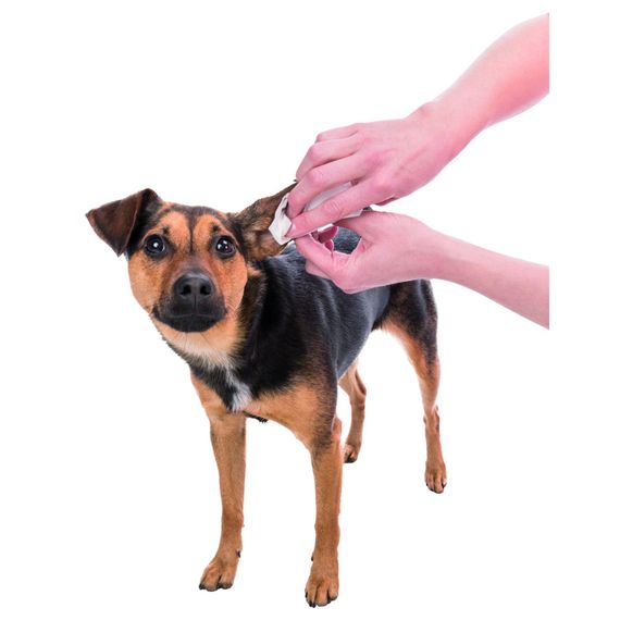 Серветки Trixie     для догляду за вухами   30шт | Зображення 3