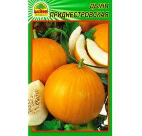 Насіння дині Придністровська 1 г (Насіння країни)