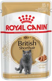 Корм Royal Canin British Shorthair Adult вологий для котів британської породи 85 гр