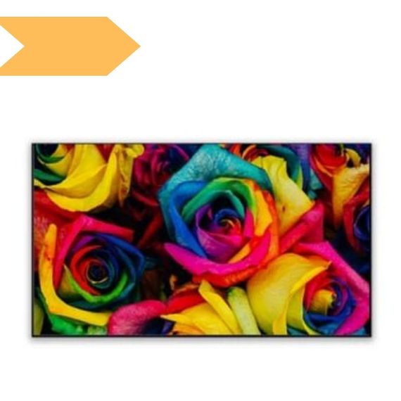 ALR экран для ультракороткофокусного проектора XPRO LedProjector PET Crystal BSP (FFB), 100" черный (W01028_14599)