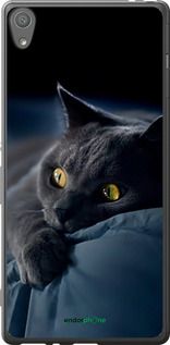 Чохол на Sony Xperia XA F3112 Димчастий кіт "825t-399-2448"
