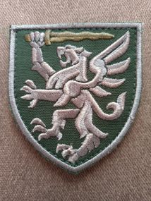 Шеврон 80 Окрема десантно-штурмова бригада (якість) Польова