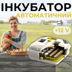 Автоматический инкубатор для цыплят  Теплуша ЕВРО ИБ-88 ТЕНовый с питанием 2в1 12в от аккумулятора и 220в
