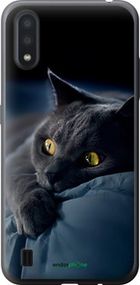Чохол на Samsung Galaxy A01 A015F Димчастий кіт "825u-1842-2448"