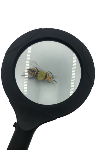 Лупа Пчеловода ручная с тройной LED подсветкой | Зображення 2