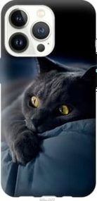 Чохол для Apple iPhone 13 Pro з пластику FCh_032333