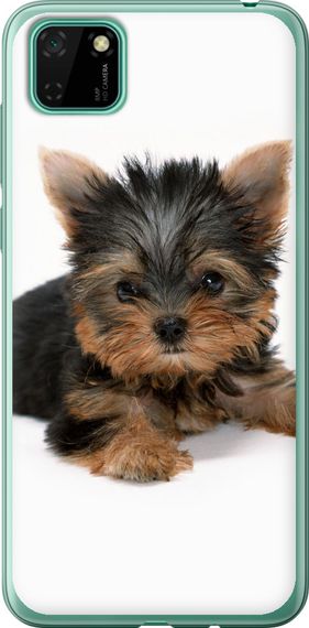 Чехол на Huawei Y5p Щенок йоркширского терьера "931u-1936-17620"
