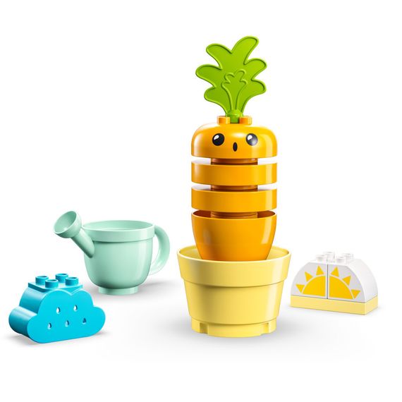Конструктор LEGO DUPLO My First Морква на грядці 11 деталей (10981) | Зображення 1