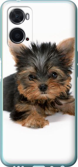 Чехол на Oppo A76 Щенок йоркширского терьера "931u-2760-17620"