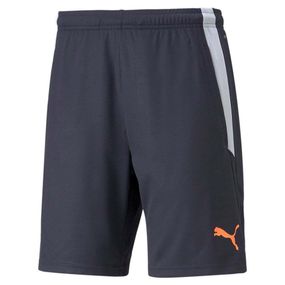Шорти спортивні чоловічі Puma teamLIGA 657667 47 (синій, поліестер, без підкладки, з кишенями, бренд пума) L (52-54)