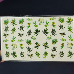 Слайдер F-22 на водяній основі (5x8см)