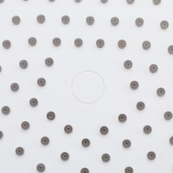 Стельова лійка Frap 250 мм F015-25 | Зображення 2