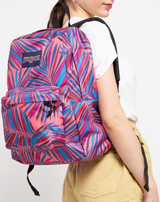 Молодіжний рюкзак 25L Jansport Superbreak різнобарвний