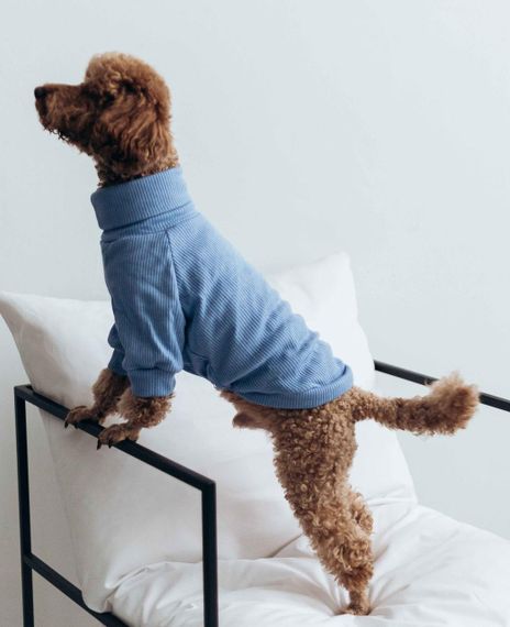 Гольф небесний Y-318