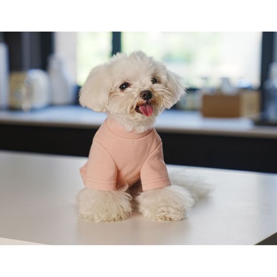 Вафельный костюм для собак Cheepet коллекция "Любимый Завтрак"  Дим Сам на спинке, без резинок вокруг лап, розовый | Зображення 3