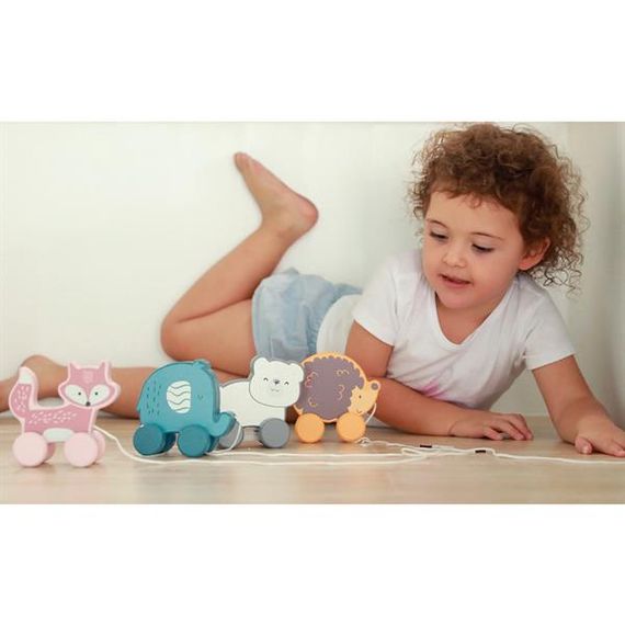 Дерев'яна каталка Viga Toys PolarB Їжачок (44003) | Зображення 3