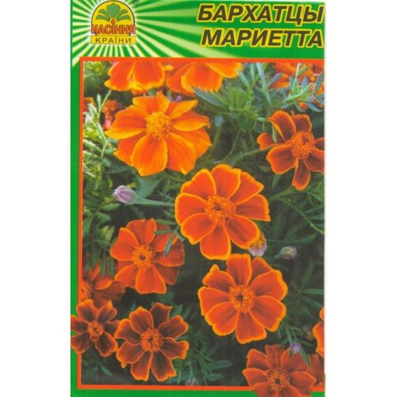 Насіння чорнобривці Маріетта 0,5 г | Зображення 1