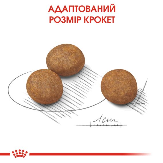 Royal Canin MAXI PUPPY Корм для цуценят великих порід у віці від 2 до 15 місяців 4 кг | Зображення 2