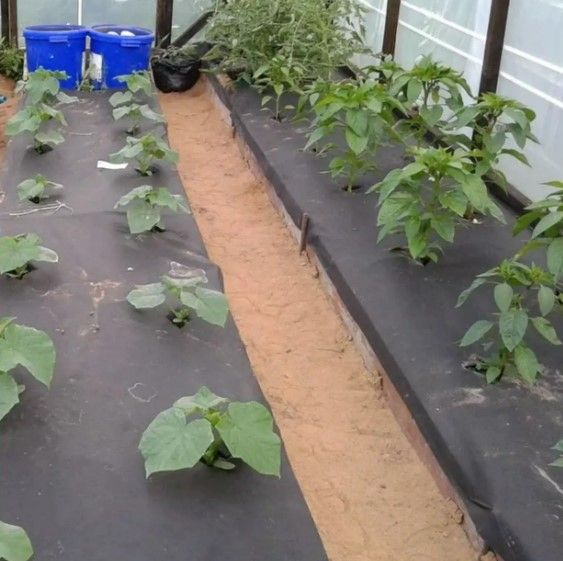 Агроволокно Shadow 50 г/м² 3,2 x 10 м АВЧП00004 | Зображення 3