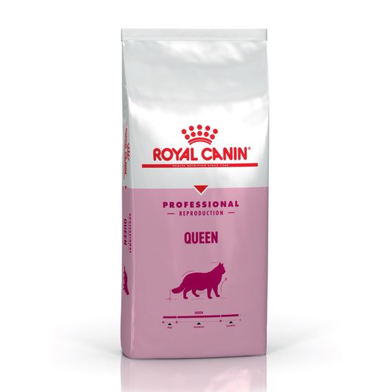 Сухий корм для вагітних кішок Royal Canin Queen, 4 кг