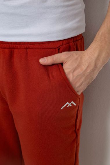 Спортивные штаны мужские на флисе, цвет терракотовый, 238R57256 | Зображення 4