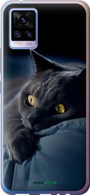 Чохол на Vivo V20 Димчастий кіт "825u-2127-2448"