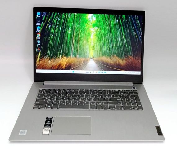 Ноутбук Lenovo IdeaPad 3 17IML05 / 17.3" (1600x900) TN / Intel Core i3-10110U (2 (4) ядра по 2.1 - 4.1 GHz) / 12 GB DDR4 / 512 GB SSD NVMe / Intel UHD Graphics / WebCam б/в | Зображення 1