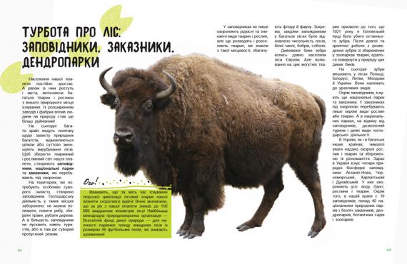 Детская книга "Мир и его тайны: Жизнь леса" 740002 на укр. языке | Зображення 2