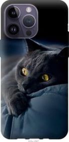 Чохол для Apple iPhone 14 Pro Max з силікону FCh_032325