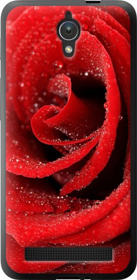 Чехол на Asus ZenFone C ZC451CG Красная роза "529u-181-17620"