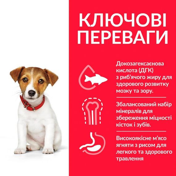 Hill’s SP Puppy Smal&Mini Сухий корм для цуценят малих і мініатюрних порід, з ягням і рисом, 0,3 кг | Зображення 2