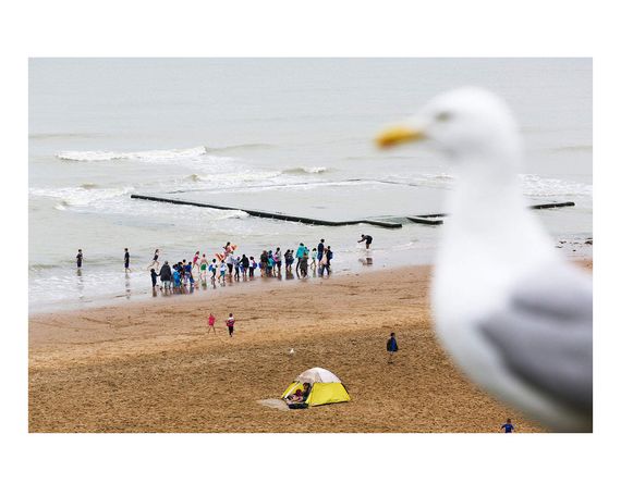 Книга з фотографії Martin Parr: Beach Therapy фотомистецтво альбоми відомих фотографів Мартін Парр пляж | Зображення 6