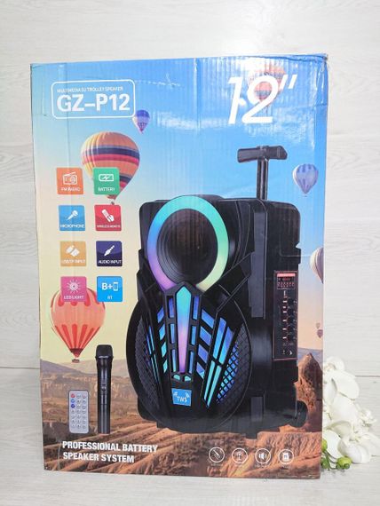 Акустична система з високою потужністю 300 Вт XPRO GZ-W1312 12 (MER-15680_2762) | Зображення 6