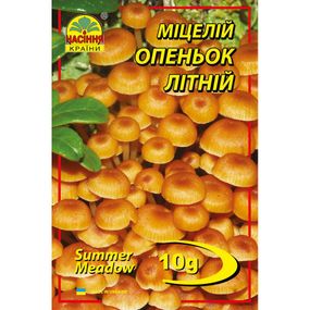 Опеньок літній 10 г