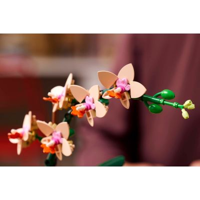 Конструктор LEGO Botanicals Мини орхидея (10343) | Зображення 1