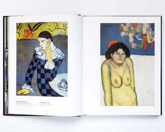 Книга про життя і творчість Пабло Пікассо Picasso The art world of drawing живопис книги | Зображення 5