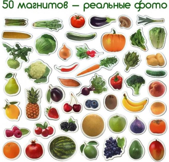 Набор магнитов Magdum "Фрукты и овощи" ML4031-15 EN | Зображення 2